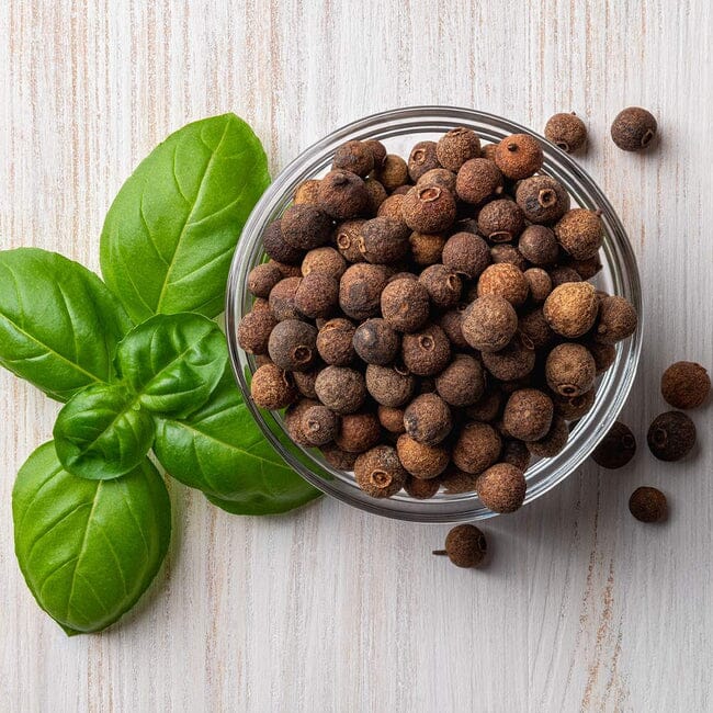 Allspice Pimienta de Jamaica Tree