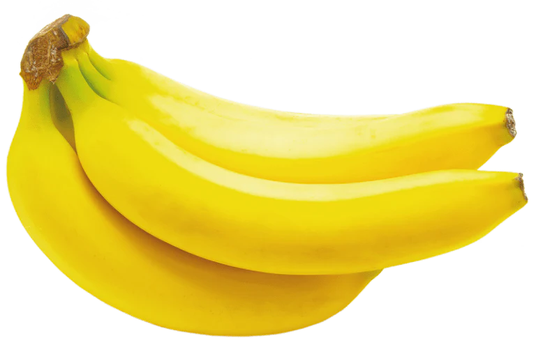 Cavendish Dwarf Banana Plant - Image 3