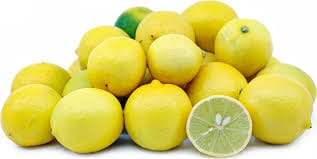Lakeland Limequat Grafted Fruit Tree