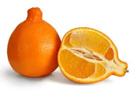 Minneola “HONEYBELL” Tangelo Dwarf Tree