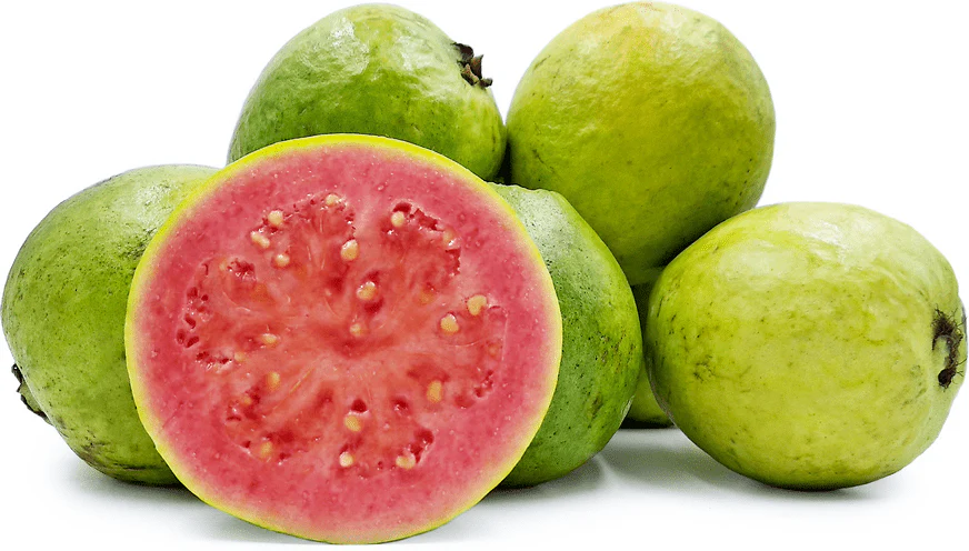 Ruby Supreme Pink Guava Tree | Grafted - Image 2