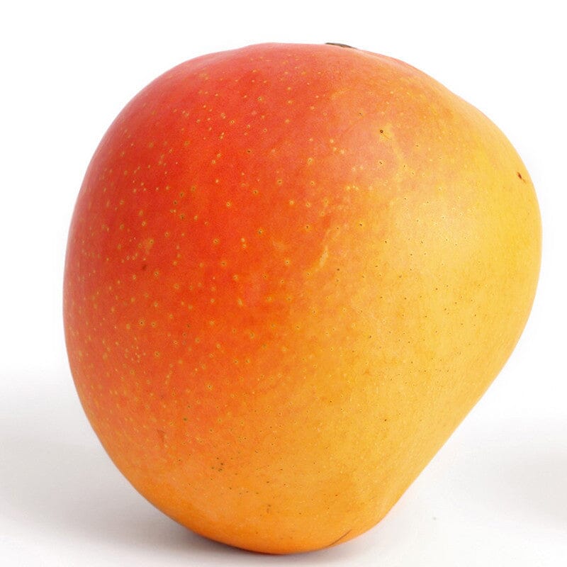 Suvarnarekha Mango Tree, Grafted